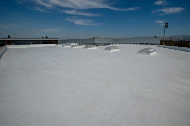 Best Sheet Metal Roofing  in Worthington, OH
