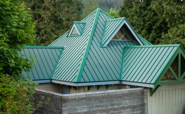Best Roof Moss and Algae Removal  in Worthington, OH